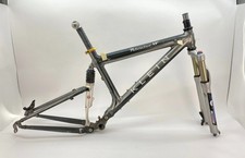 Klein Palomino Maverick