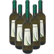 Vino Bianco Falanghina