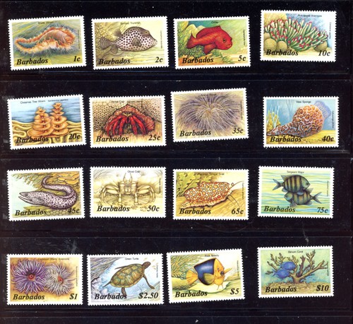 Barbados set completo scott - completo,