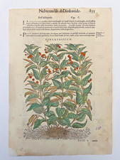 MATTIOLI Xilografia 1500 Botanica Erbario Piante "VINCETOSSICO"