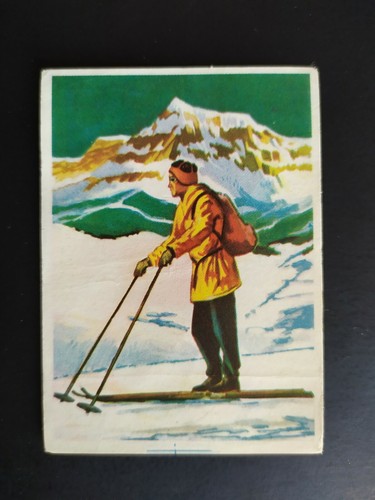 Figurina enciclopedia sportiva - figurina,