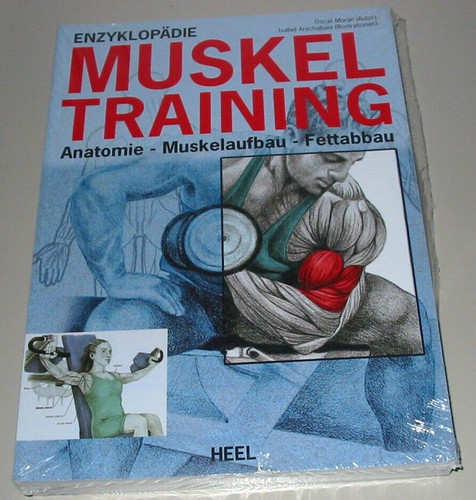 Enzyklopädie muskel training - enzyklopädie,