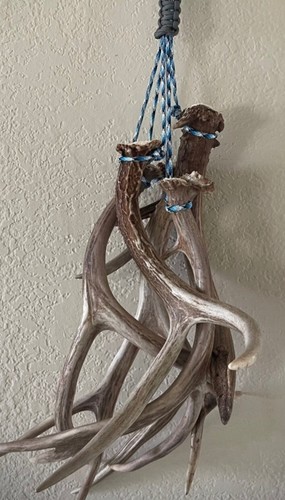 550 paracord capanno - 550,