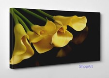 🌹 Quadro Fiori Sinfonia di