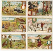 Liebig S703 Set 6 Carte Gallinacei Fowl Ed. Italiana 1902