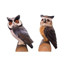 Scultura creativa della statua