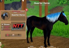 Wild Horse Islands - Marrone