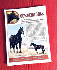 '80 QUARTER HORSE JOURNAL Book