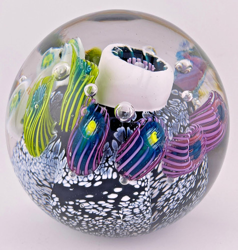 Mark eckstrand magnum ocean - mark,