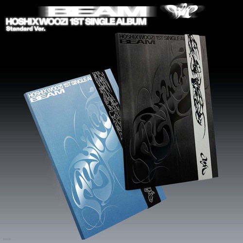 Hoshi woozi diciassetteen - hoshi,