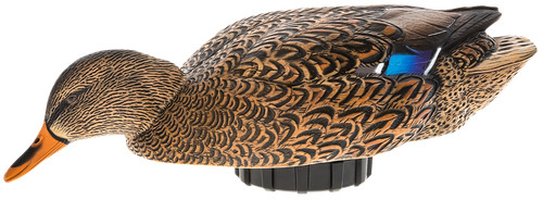 Avian avxpshmhsf power - avxpshmhsf,