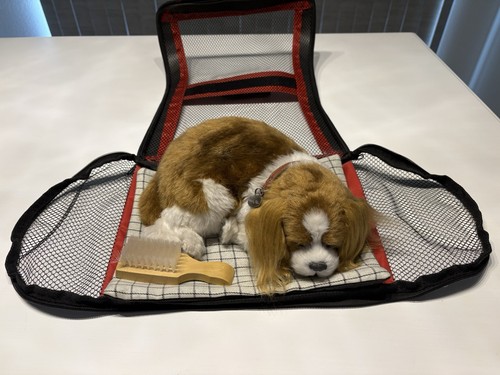 Cane giocattolo petzzz - cane,