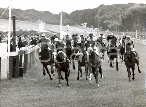 1959 goodwood - goodwood, (sussex)