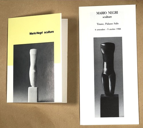 Mario negri rari - negri,