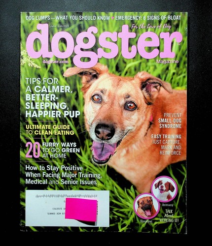 Dogster magazine june july - dogster, june/july