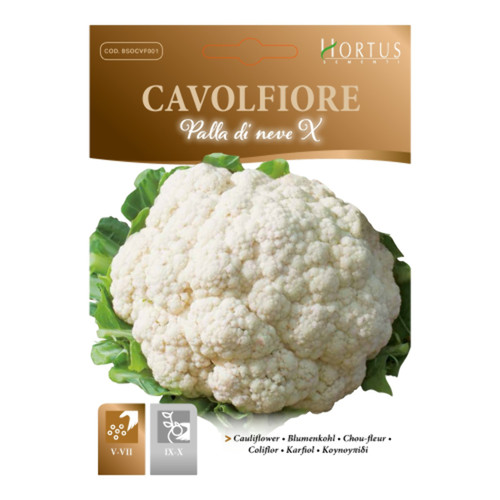 Cavolfiore palla neve - palla, di