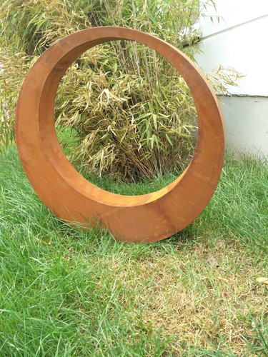 Spina giardino ruggine - spina, da
