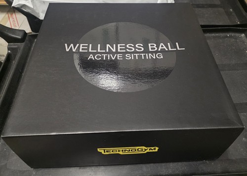 Wellness ball active - active, sitting