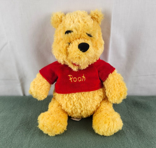 Winnie the pooh - winnie,