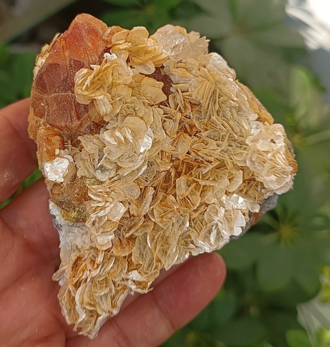 Esemplare minerale mica