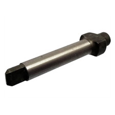 221407 ALBERINO RUTTORE