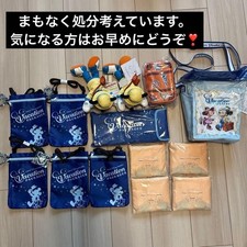 Set Pacchetto Vacanze Disney