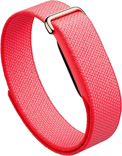 Google fitbit air - google,