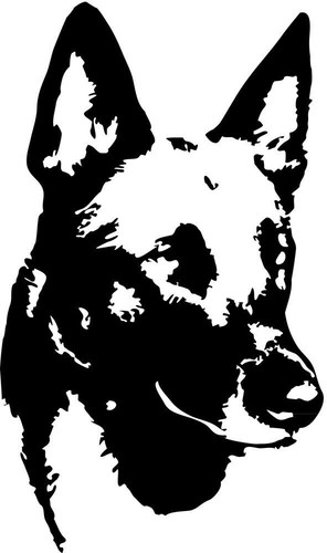 Adesivo malinois - malinois,