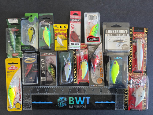 Lotto esche pesca - 16,