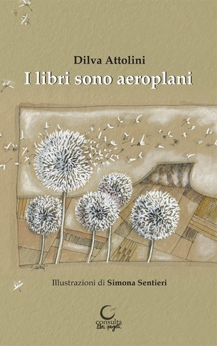 Libri sono aeroplani - libri,