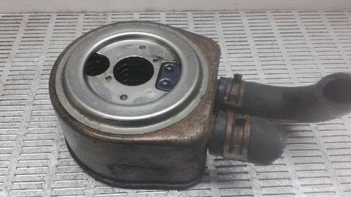 Radiatore olio motore - olio, /