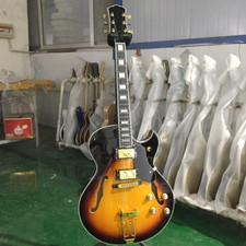 Hollow Body Byrdland Chitarra