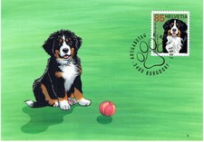 SVIZZERA 2007 CENTENARIO DEL CLUB SVIZZERO DEL BOVARO BERNESE CARTOLI Cat.U.1930