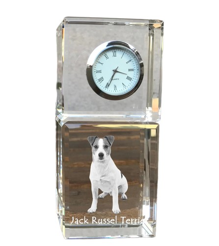 Jack russell terrier cane con - terrier,