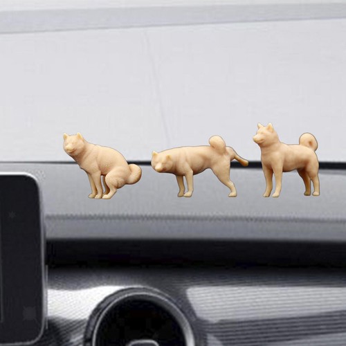 Miniature shiba inu in - di,