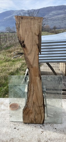 Tavola legno ulivo - tavola, 170