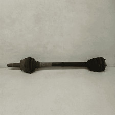 46307011 Semialbero ant