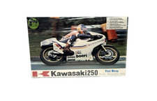 Protar Toni Mang Kawasaki 250