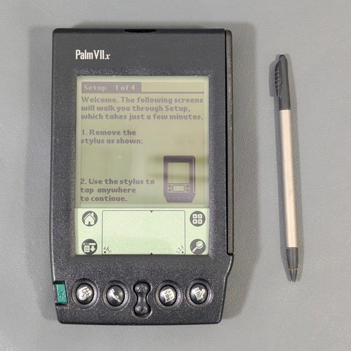 Palm viix palmare - viix,