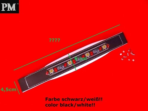 Fisarmonica bassgurt folk - fisarmonica-bassgurt,