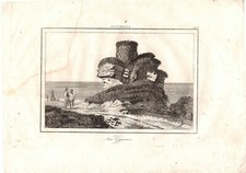 Stampa antica KING GEORGE SOUND nido gigante Albany Australia 1840 Antique print