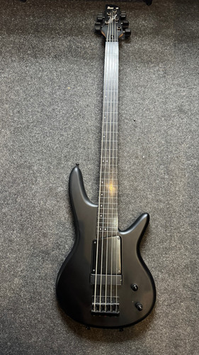 Ibanez gwb35 fretless - 5, corde