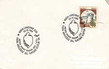 Vite - Vino - Enologia - Wine - Anfora vinaria romana - Uva