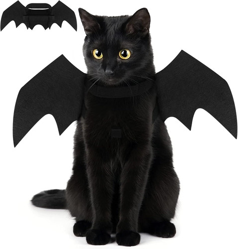 Halloween costume - halloween,