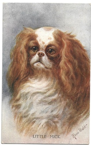 Antica cartolina animali cane - animali:,