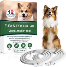 2 pz Collare Antiparassitario