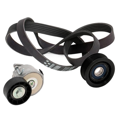 Kit cinghia servizi - cinghia,