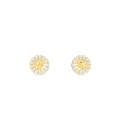 Orecchini stroili argento 925 - argento,
