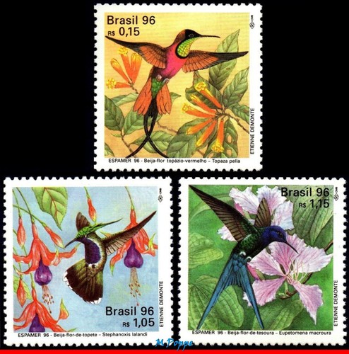 2583 brasile 1996 - brasile, colibrÌ