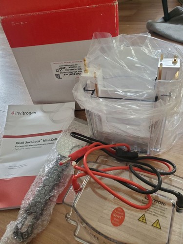 Invitrogen xcell surelock mini - surelock,
